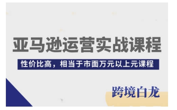 亚马逊运营实战课程，亚马逊从入门到精通，性价比高，相当于市面万元以上元课程-大熊网创
