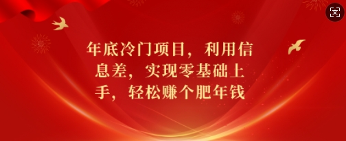 年底冷门项目，利用信息差，实现零基础上手，轻松赚个肥年钱【揭秘】-大熊网创
