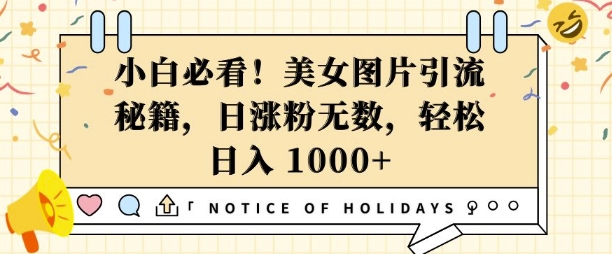 小白必看，美女图片引流秘籍，日涨粉无数，轻松日入几张【揭秘】-大熊网创