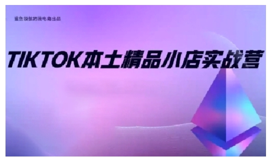 TikTok本土精品小店出海实战营，从入门到高阶，不止0-1!-网创星球