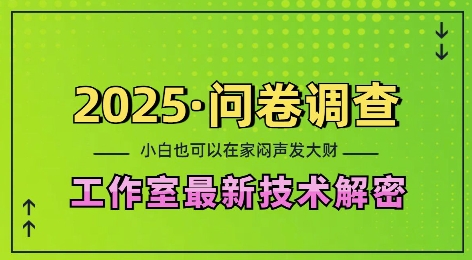 2025问卷调查最新工作室技术解密：一个人在家也可以闷声发大财，小白一天2张，可矩阵放大【揭秘】-大熊网创