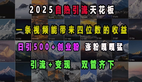 2025自热引流天花板，一条视频能带来四位数的收益，引流+变现双管齐下，日引500+创业粉，涨粉嘎嘎猛-大熊网创