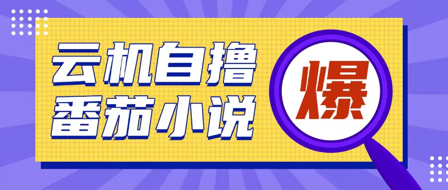 首发云手机自撸小说玩法，10块钱成本可撸200+收益操作简单【揭秘】-大熊网创