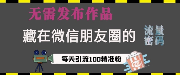藏在微信朋友圈的流量密码，无需发布作品，单日引流100+精准创业粉【揭秘】-大熊网创