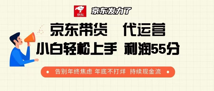 京东带货 代运营 利润55分 告别年终焦虑 年底不打烊 持续现金流-大熊网创