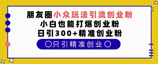 朋友圈小众玩法引流创业粉，小白也能打爆创业粉，日引300+精准创业粉【揭秘】-大熊网创