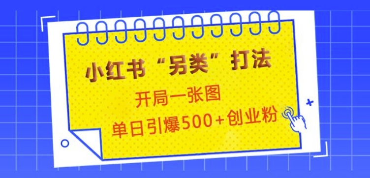 小红书“另类”打法，开局一张图，单日引爆500+精准创业粉【揭秘】-大熊网创