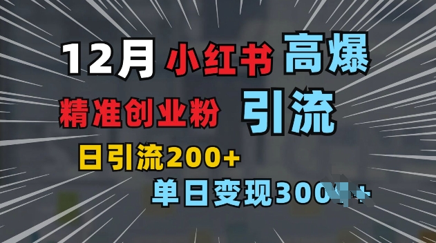 小红书一张图片“引爆”创业粉，单日+200+精准创业粉 可筛选付费意识创业粉【揭秘】-大熊网创