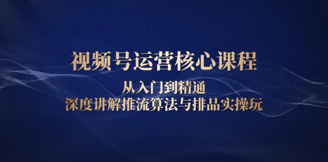 视频号运营核心课程，从入门到精通，深度讲解推流算法与排品实操玩-大熊网创