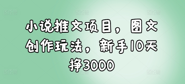 小说推文项目，图文创作玩法，新手10天挣3000-大熊网创