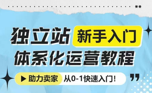 独立站新手入门体系化运营教程，助力独立站卖家从0-1快速入门!-大熊网创