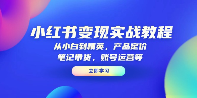 小红书变现实战教程：从小白到精英，产品定价，笔记带货，账号运营等-大熊网创