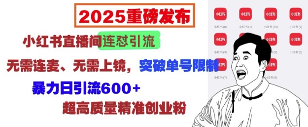 2025重磅发布：小红书直播间连怼引流，无需连麦、无需上镜，突破单号限制，暴力日引流600+-大熊网创