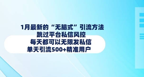 1月最新的无脑式引流方法，跳过平台私信风控，每天都可以无限发私信，单天引流500+精准用户-大熊网创