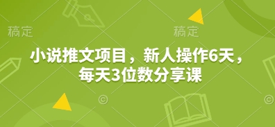 小说推文项目，新人操作6天，每天3位数分享课-大熊网创