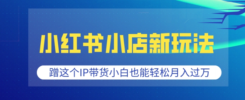 小红书小店新玩法，蹭这个IP带货，小白也能轻松月入过W【揭秘】-大熊网创