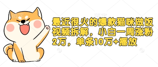 最近很火的爆款猫咪做饭视频拆解，小白一周涨粉2万，单条10万+播放(附保姆级教程)-大熊网创
