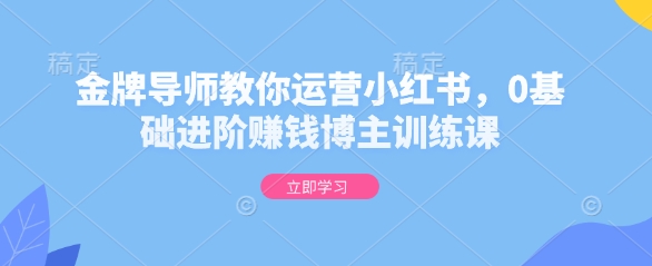 金牌导师教你运营小红书，0基础进阶赚钱博主训练课-大熊网创