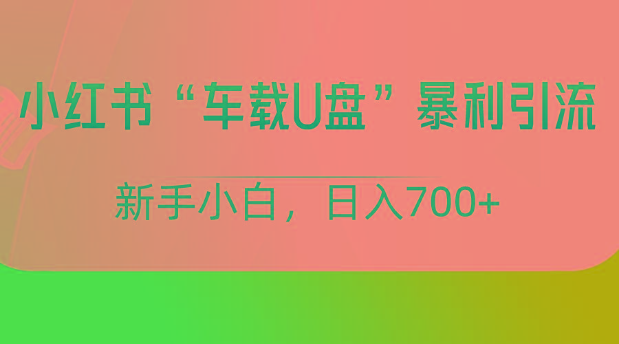 小红书“车载U盘”项目，暴利引流，新手小白轻松日入700+-网创星球
