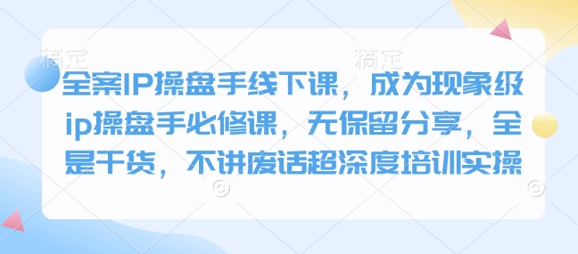 全案IP操盘手线下课，成为现象级ip操盘手必修课，无保留分享，全是干货，不讲废话超深度培训实操-网创星球