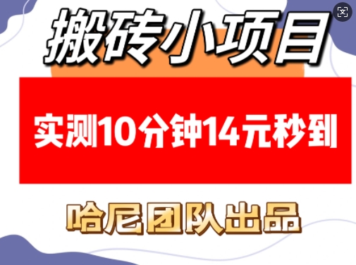 搬砖小项目，实测10分钟14元秒到，每天稳定几张(赠送必看稳定)-大熊网创