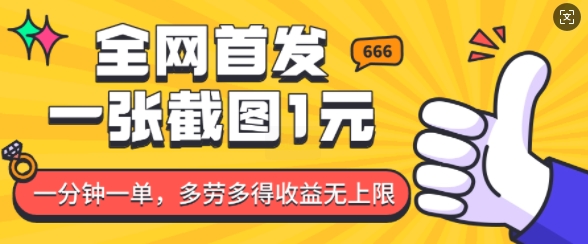 全网首发，一张截图1块钱，一分钟一单，多劳多得，收益无上限-大熊网创