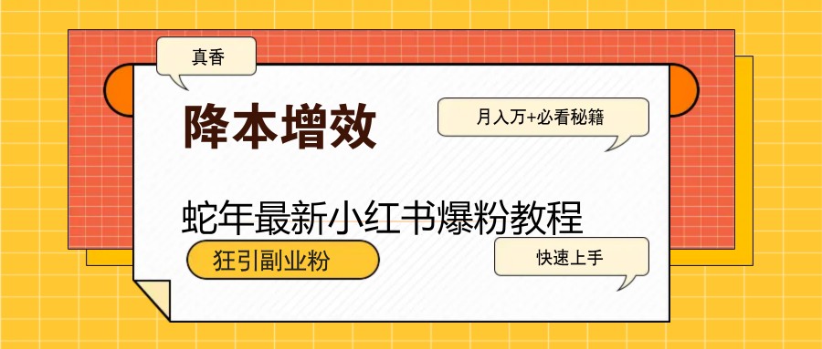 蛇年最新小红书爆粉教程，狂引副业粉，月入万+必看-网创星球