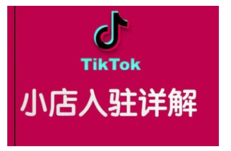 TikTok跨境小店运营全攻略，帮助你独立运营TK跨境小店的能力，实现销量增长-大熊网创