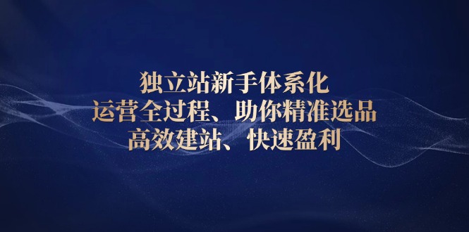 独立站新手体系化 运营全过程，助你精准选品、高效建站、快速盈利-大熊网创