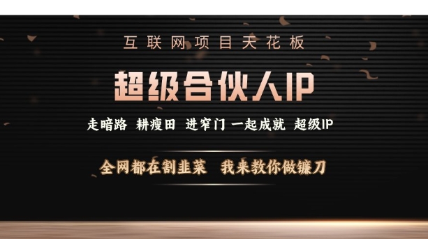 互联网项目天花板，超级合伙人IP，全网都在割韭菜，我来教你做镰刀【仅揭秘】-大熊网创