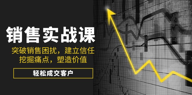 销售实战课，突破销售困扰，建立信任，挖掘痛点，塑造价值，轻松成交客户-大熊网创