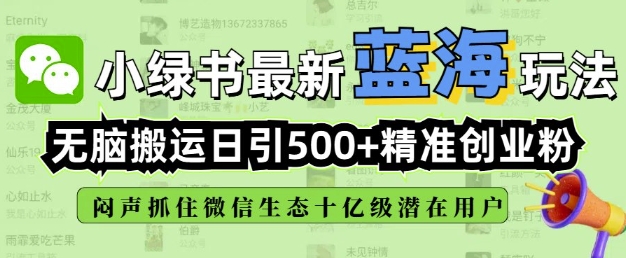 小绿书无脑搬运引流，全自动日引500精准创业粉，微信生态内又一个闷声发财的机会-大熊网创