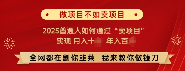 必看，做项目不如卖项目，2025普通人如何通过“卖项目”实现月入十个，年入百个-大熊网创
