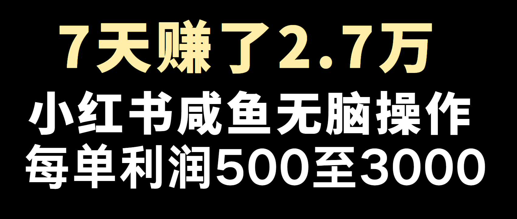 全网首发，7天赚了2.6万，2025利润超级高！-大熊网创