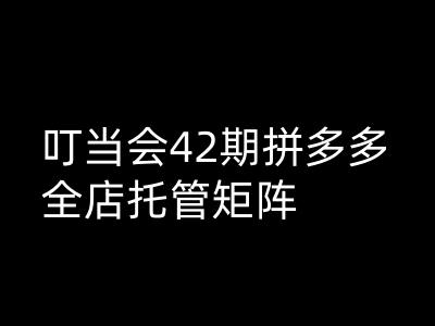 叮当会拼多多打爆班原创高阶技术第42期，拼多多全店托管矩阵-大熊网创