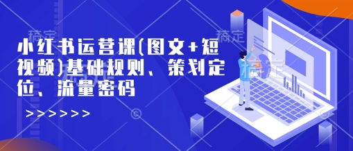 小红书运营课(图文+短视频)基础规则、策划定位、流量密码-大熊网创