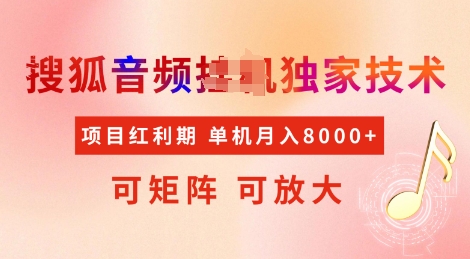 全网首发搜狐音频挂JI独家技术，项目红利期，可矩阵可放大，稳定月入8k【揭秘】-大熊网创