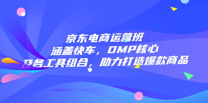京东电商运营班：涵盖快车，DMP核心及各工具组合，助力打造爆款商品-大熊网创