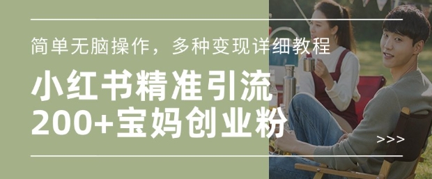 小红书混剪日引200+宝妈创业粉，简单无脑操作，多种变现详细教程-大熊网创
