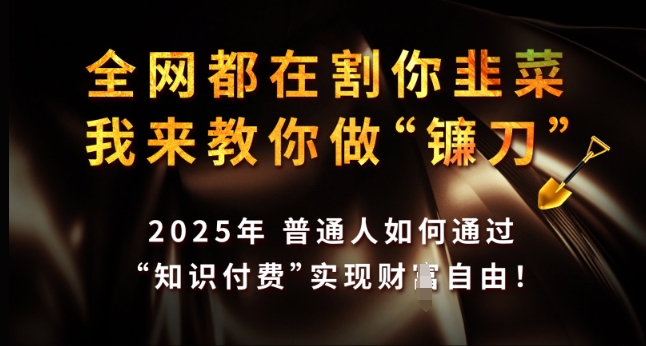 全网都在割你韭菜，我来教你做镰刀，2025年普通人如何通过 知识付费 实现财F自由【揭秘】-大熊网创