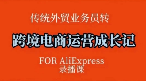 跨境电商速卖通运营课，​运营方法论+后台实操，逻辑清晰-大熊网创