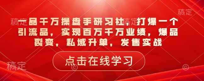 一品千万操盘手研习社，打爆一个引流品，实现百万千万业绩，爆品裂变，私域升单，发售实战-大熊网创