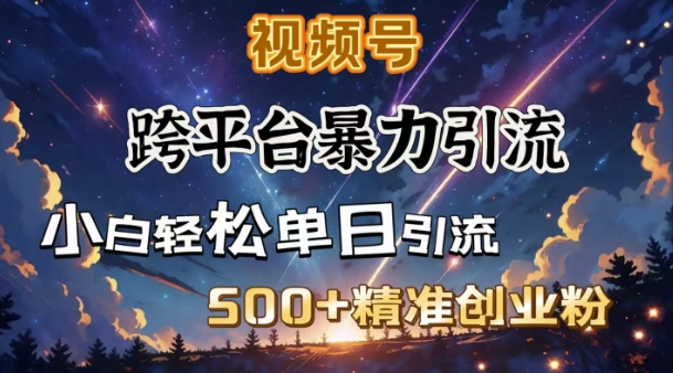 跨平台暴力引流，私域完美闭环，日引500+精准创业粉-大熊网创