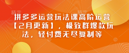 拼多多运营玩法课高阶运营【2月更新】，极致群爆款玩法，轻付费无尽复制等-大熊网创