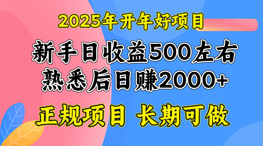 2025开年好项目，单号日收益2000左右-大熊网创