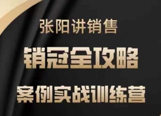 张阳讲销售实战训练营，​案例实战训练，销冠全攻略-大熊网创