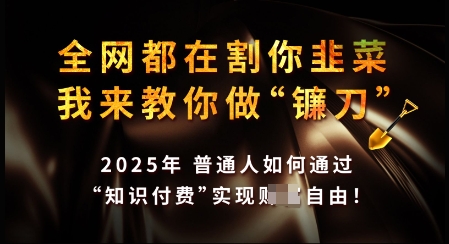 知识付费如何做到月入过W+，2025我来教你做“镰刀”【揭秘】-大熊网创