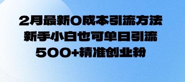 2月最新0成本引流方法，新手小白也可单日引流500+精准创业粉-大熊网创