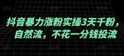 抖音暴力涨粉实操3天千粉，自然流，不花一分钱投流，实操经验分享-大熊网创