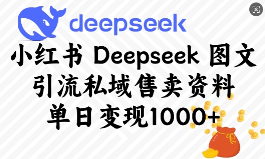 小红书Deepseek图文引流私域售卖资料，单日变现多张-大熊网创